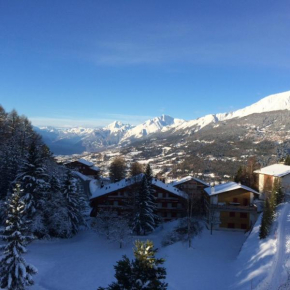 Mountain view cosy, comfortable 1 bed-room Luxury Appartment Crans-Montana